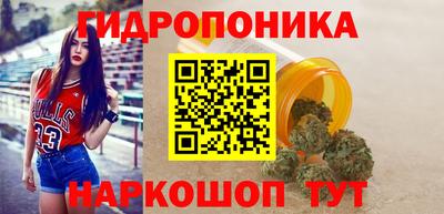 ПСИЛОЦИБИНОВЫЕ ГРИБЫ Можга