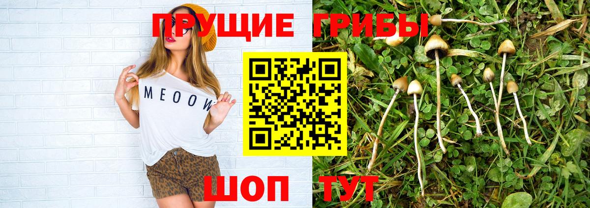 Галлюциногенные грибы прущие грибы  Галлюциногенные грибы Magic Shrooms  Дмитров  Вход с VPN 