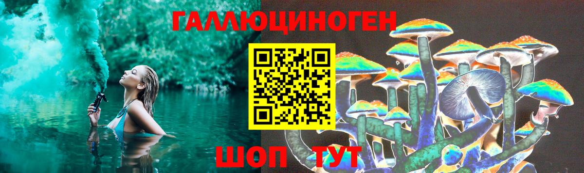 Галлюциногенные грибы мухоморы Дмитров